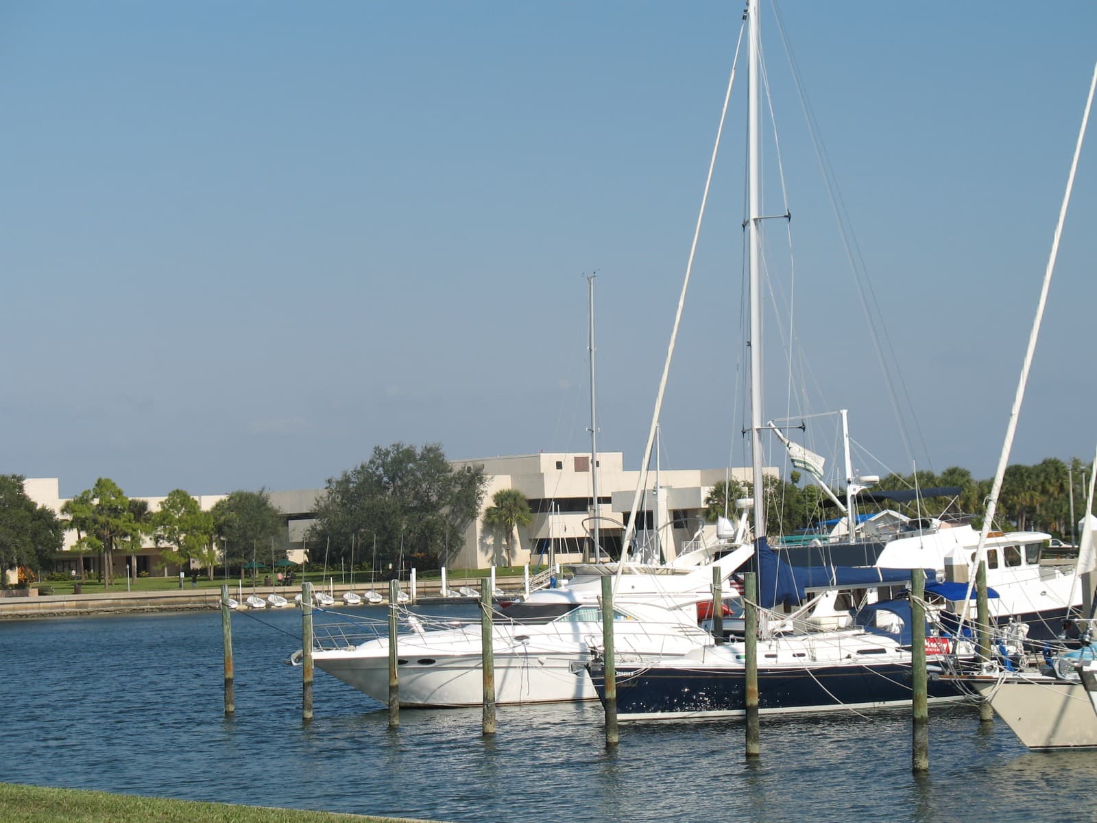 Motor yachts and sailboats tied between pilings in a St. Petersburg city marina, with a low campus building and trees behind